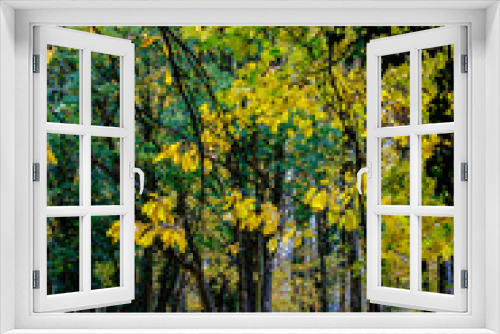 Fototapeta Naklejka Na Ścianę Okno 3D - Autumn 8
