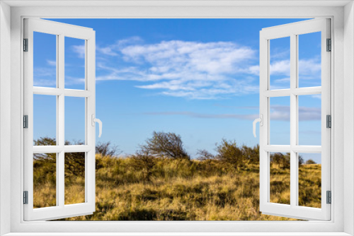 Fototapeta Naklejka Na Ścianę Okno 3D - Windswept trees and grass dominate the landscape at Donna Nook Nature Reserve in Lincolnshire, Engand, UK