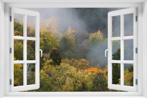 Fototapeta Naklejka Na Ścianę Okno 3D - Colorful autumn forest and morning mist
