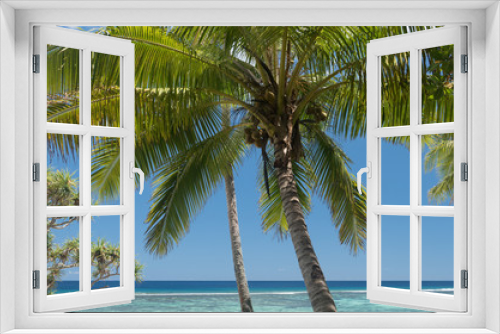 Fototapeta Naklejka Na Ścianę Okno 3D - Tropical paradise, a coconut palm against the blue sky of Tonga