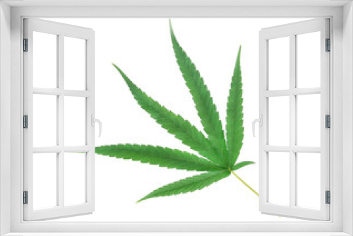 Fototapeta Naklejka Na Ścianę Okno 3D - marijuana leaf on white backgroun