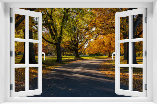 Fototapeta Naklejka Na Ścianę Okno 3D - Autumn Leaves