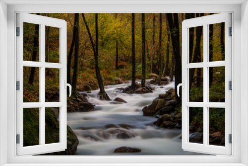 Fototapeta Naklejka Na Ścianę Okno 3D - River in the forest