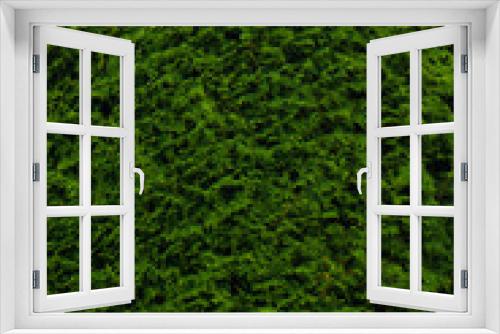 Fototapeta Naklejka Na Ścianę Okno 3D - A background of green foliage. Texture of thick green vegetation.