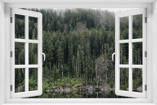 Fototapeta Naklejka Na Ścianę Okno 3D - pacific northwest forest of trees reflecting into calm lake water