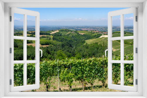 Fototapeta Naklejka Na Ścianę Okno 3D - Vineyards near Dogliani, Cuneo, in Langhe