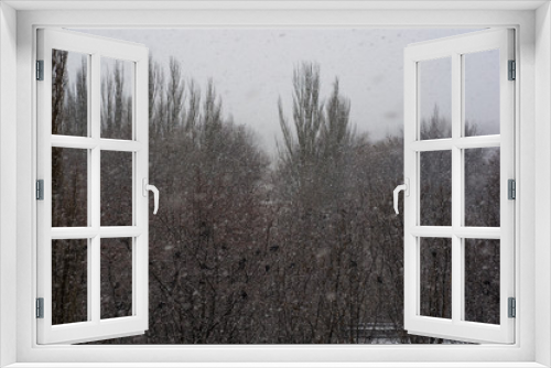 Fototapeta Naklejka Na Ścianę Okno 3D - Winter landscape - snow storm, snow covered trees and black birds