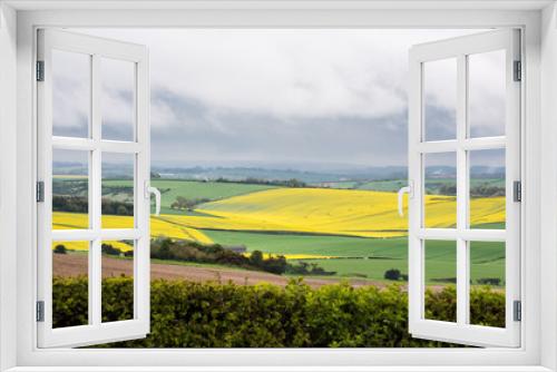 Fototapeta Naklejka Na Ścianę Okno 3D - Rapeseed fields in Dorset, England