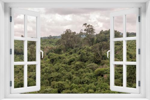 Fototapeta Naklejka Na Ścianę Okno 3D - Kenya forest under a cloudy sky
