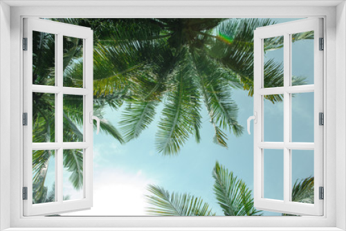 Fototapeta Naklejka Na Ścianę Okno 3D - coconut palm trees againt blue sky and sunlight