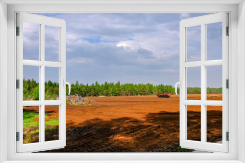 Fototapeta Naklejka Na Ścianę Okno 3D - swamp area landscape view with lonely pine trees and turf fields