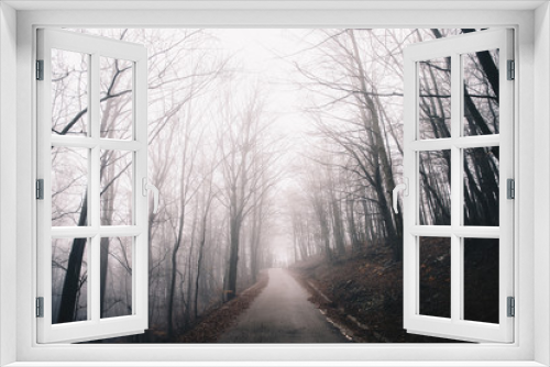 Fototapeta Naklejka Na Ścianę Okno 3D - Foggy road background