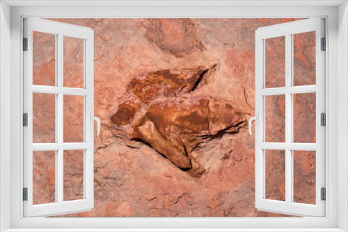 Fototapeta Naklejka Na Ścianę Okno 3D - Dinosaur tracks near Tuba City Utah