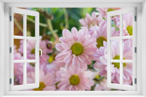 Fototapeta Naklejka Na Ścianę Okno 3D - Beautiful pink flowers in vase