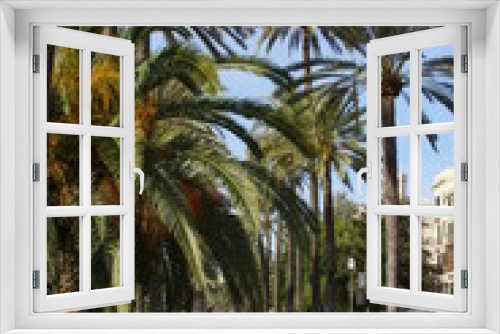 Fototapeta Naklejka Na Ścianę Okno 3D - palma de mallorca