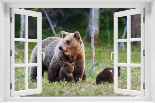 Fototapeta Naklejka Na Ścianę Okno 3D - Mother bear and her three little puppies