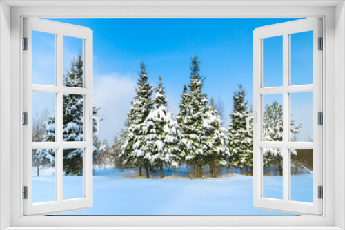 Fototapeta Naklejka Na Ścianę Okno 3D - Beautiful winter landscape with fir trees and forest path