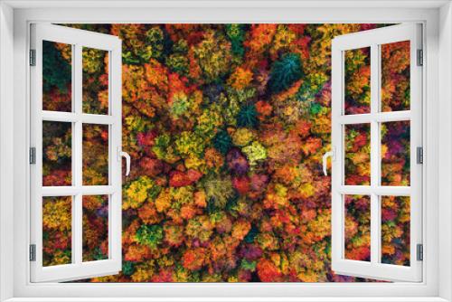 Fototapeta Naklejka Na Ścianę Okno 3D - Aerial drone view over autumn forest. Colorful trees in the wood.