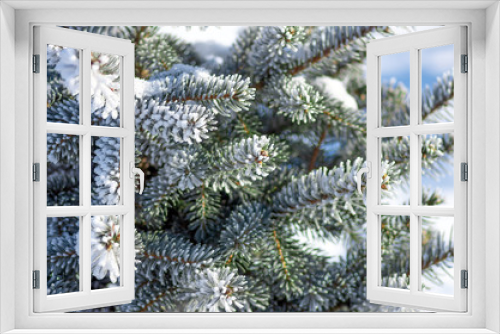 Fototapeta Naklejka Na Ścianę Okno 3D - Twigs of fir tree in the snow, winter background