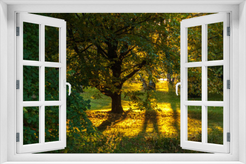 Fototapeta Naklejka Na Ścianę Okno 3D - Sonnenplatz