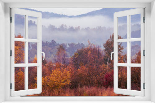 Fototapeta Naklejka Na Ścianę Okno 3D - Foggy autumn landscape