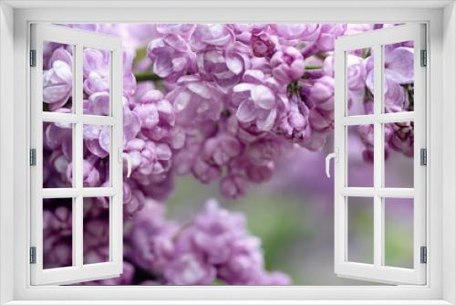 Fototapeta Naklejka Na Ścianę Okno 3D - Lilac flowers macro