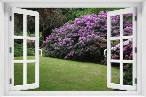 Fototapeta Naklejka Na Ścianę Okno 3D - Kompozycja ogrodowa