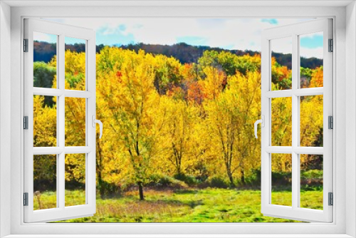 Fototapeta Naklejka Na Ścianę Okno 3D - yellow autumn