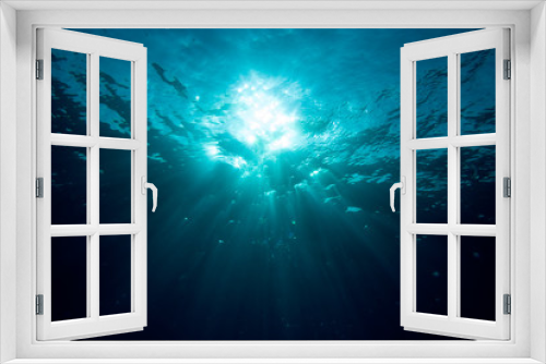 Fototapeta Naklejka Na Ścianę Okno 3D - Unterwasser Sonne