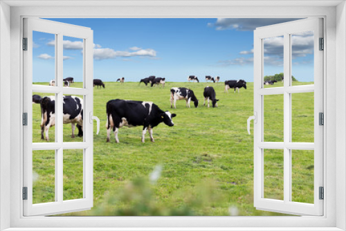 Fototapeta Naklejka Na Ścianę Okno 3D - Perfect farm cows on a green meadow
