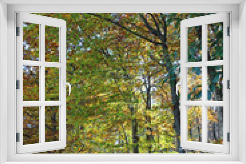Fototapeta Naklejka Na Ścianę Okno 3D - trees in autumn