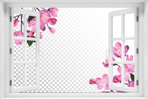 Fototapeta Naklejka Na Ścianę Okno 3D - Detailed Blossoming sakura branch on transparent background. Spring or summer decoration.