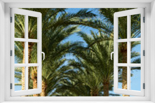 Fototapeta Naklejka Na Ścianę Okno 3D - palm tree alley