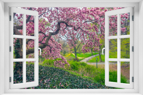 Fototapeta Naklejka Na Ścianę Okno 3D - Central Park, New York City in spring
