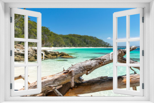 Fototapeta Naklejka Na Ścianę Okno 3D - Stunning view of Murrays Beach, located within Booderee National Park in Jervis Bay Territory, a three hours drive south of Sydney, New South Wales, Australia. Driftwood tree log, crystal clear water.