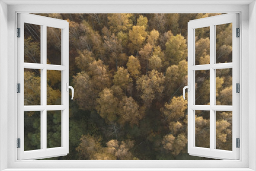 Fototapeta Naklejka Na Ścianę Okno 3D - Aerial view over autumn forest in the morning