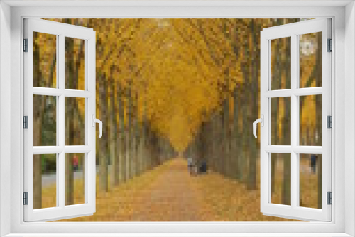 Fototapeta Naklejka Na Ścianę Okno 3D - Allee im Park und Garten im Herbst bei Sonnenschein