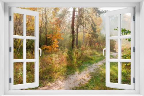 Fototapeta Naklejka Na Ścianę Okno 3D - Footpath in the morning autumn forest