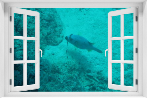 Fototapeta Naklejka Na Ścianę Okno 3D - Underwater Submarine Subsea
