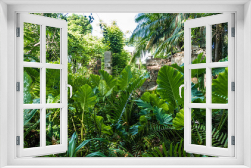 Fototapeta Naklejka Na Ścianę Okno 3D - Jungle Ruins