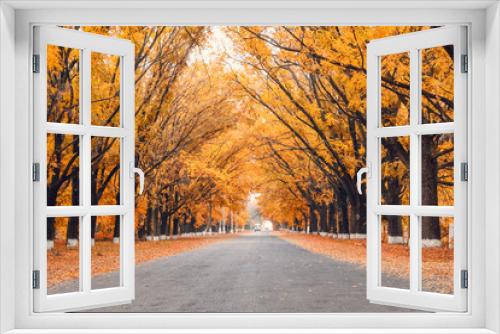 Fototapeta Naklejka Na Ścianę Okno 3D - autumn alley