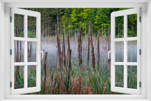 Fototapeta Naklejka Na Ścianę Okno 3D - Strains reflection. Lake Cuejdel. Piatra Neamt. Romania.