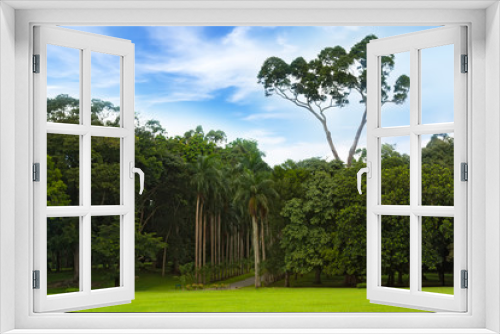 Fototapeta Naklejka Na Ścianę Okno 3D - Botanical Garden of Peradeniya, Kandy,