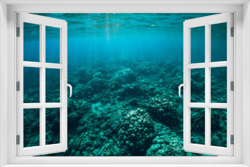 Fototapeta Naklejka Na Ścianę Okno 3D - Tranquil underwater scene with corals and sun rays. Tropical sea