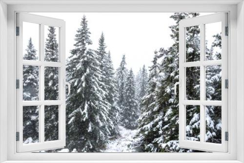 Fototapeta Naklejka Na Ścianę Okno 3D - orest in the mountains in winter