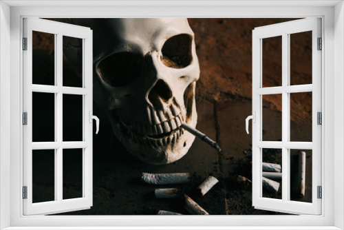 Fototapeta Naklejka Na Ścianę Okno 3D - Smoking kills concept, portrait of a smoking skull