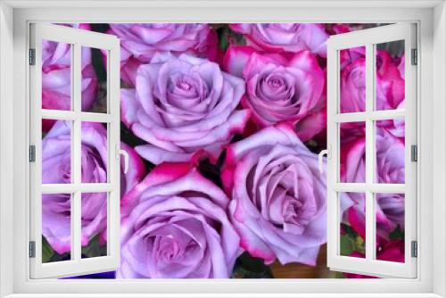 Fototapeta Naklejka Na Ścianę Okno 3D - Close up of purple pink rose buds bouquet