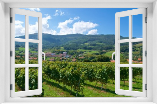 Fototapeta Naklejka Na Ścianę Okno 3D - Vineyards for Port wine production in Douro Valley in Portugal