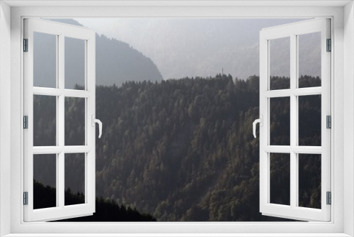Fototapeta Naklejka Na Ścianę Okno 3D - Forest Hills