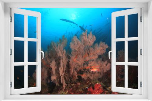 Fototapeta Naklejka Na Ścianę Okno 3D - Barracuda fish on coral reef 